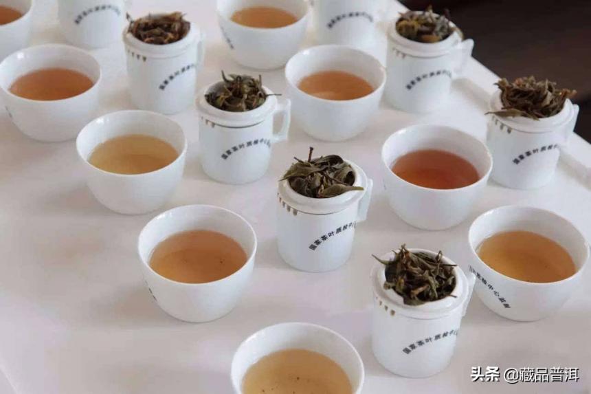 普洱茶行业缺乏评判仓储标准，买茶应如何自行判断？